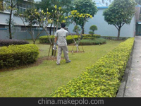 第29屆全國衛(wèi)生殺蟲藥械學(xué)術(shù)交流會(huì)在成都市召開