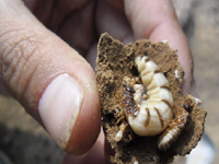 祝賀康凈公司通過ISO9001:2008質(zhì)量管理體系認(rèn)證