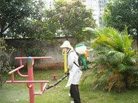 2014年4月30日康凈公司積極參加由南寧市愛衛(wèi)辦組織的服務(wù)全國體操錦標(biāo)賽主會場病媒防制工作